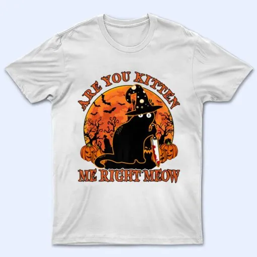 Are You Kitten Me Right Meow Black Cat Witch Knife Halloween T Shirt