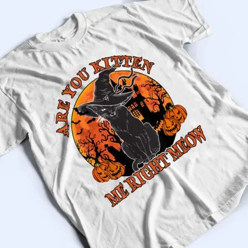 Black Cat- Are You Kitten Me Right Meow Lover Gift T Shirt