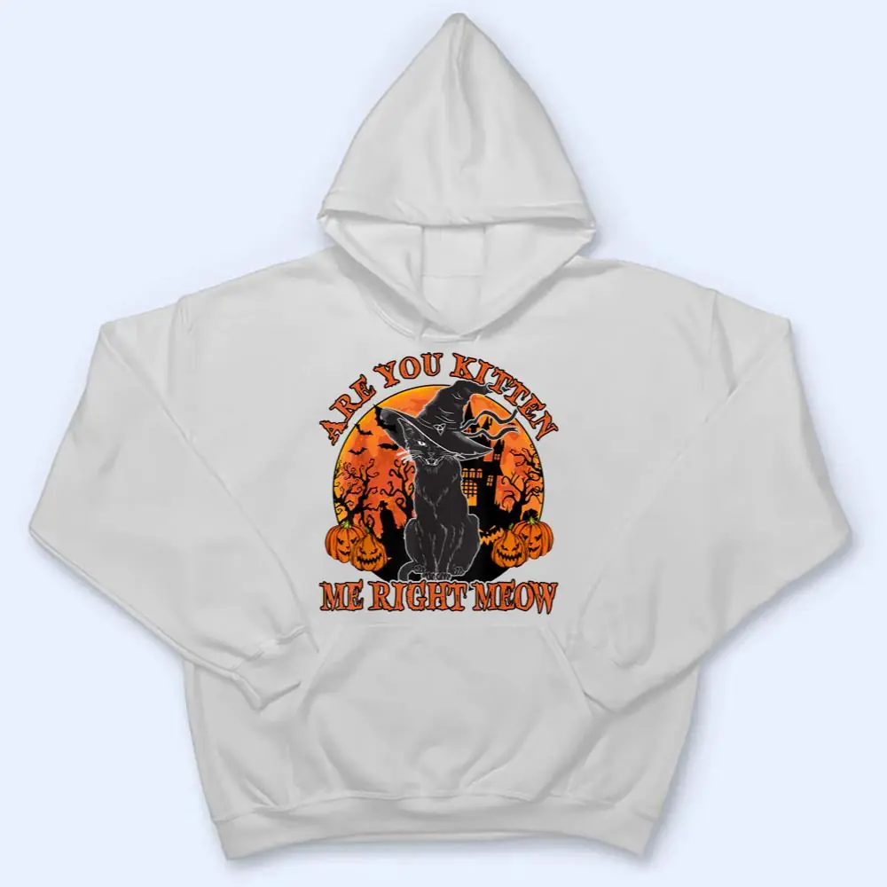 Black-Cat-Are-You-Kitten-Me-Right-Meow-Lover-Gift-T-Shirt-3 Black Cat- Are You Kitten Me Right Meow Lover Gift T Shirt