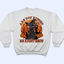 Black Cat- Are You Kitten Me Right Meow Lover Gift T Shirt Black Cat- Are You Kitten Me Right Meow Lover Gift T Shirt