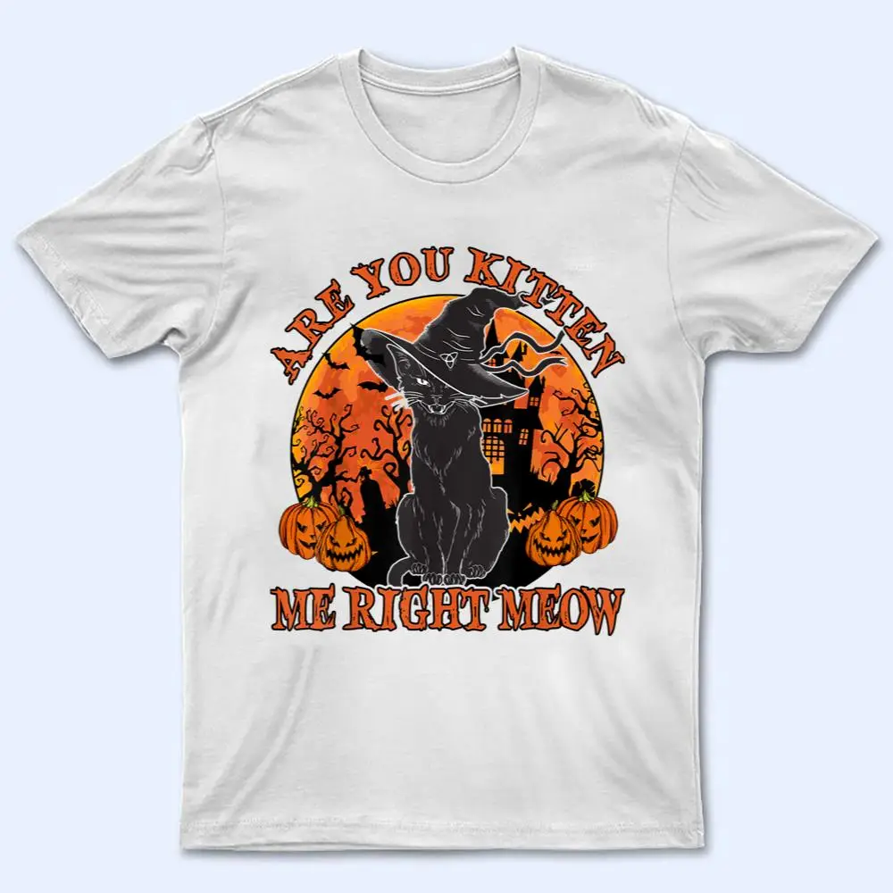 Black Cat- Are You Kitten Me Right Meow Lover Gift T Shirt Black Cat- Are You Kitten Me Right Meow Lover Gift T Shirt