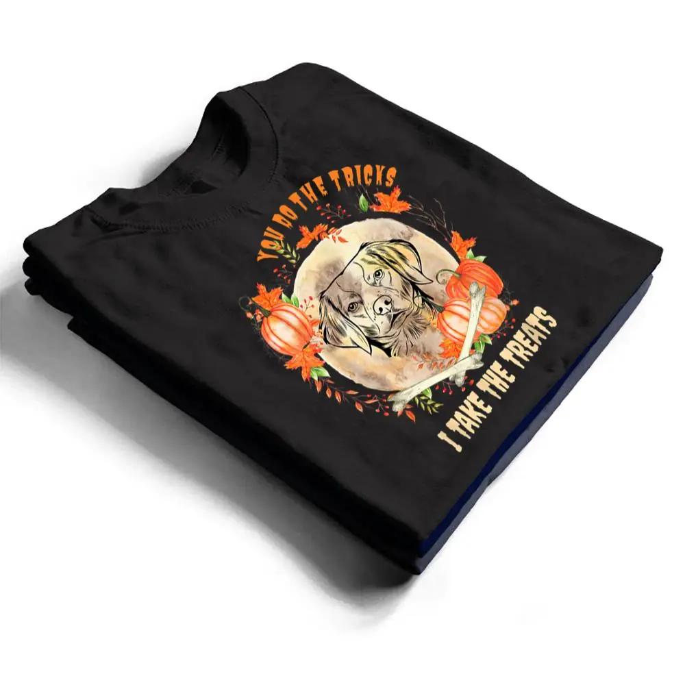 Brittany-Spaniel-Dog-Owner-Halloween-Pumpkin-Humor-Funny-T-Shirt-1 Brittany Spaniel Dog Owner Halloween Pumpkin Humor Funny T Shirt