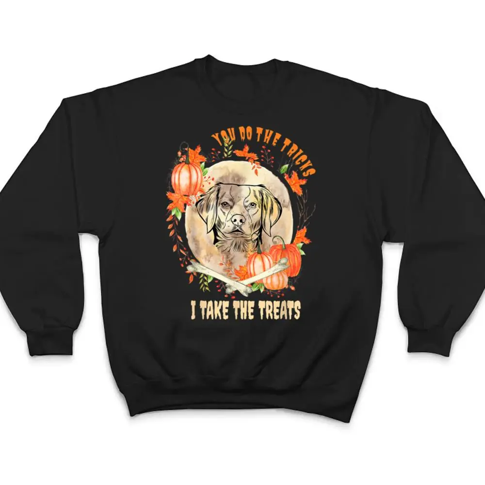 Brittany-Spaniel-Dog-Owner-Halloween-Pumpkin-Humor-Funny-T-Shirt-4 Brittany Spaniel Dog Owner Halloween Pumpkin Humor Funny T Shirt