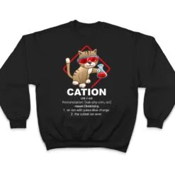 Chemistry Professor Kitty Science Day Cat Owner Chemist T Shirt Chemistry Professor Kitty Science Day Cat Owner Chemist T Shirt