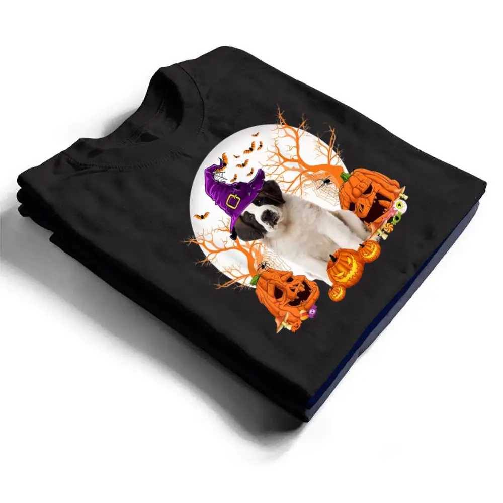 Dog-Halloween-Saint-Bernard-Dog-Jack-O-Lantern-Pumpkin-T-Shirt-1 Dog Halloween Saint Bernard Dog Jack O Lantern Pumpkin T Shirt
