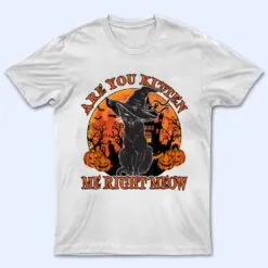 Halloween Costume Are You Kitten Me Right Meow Black Cat T Shirt
