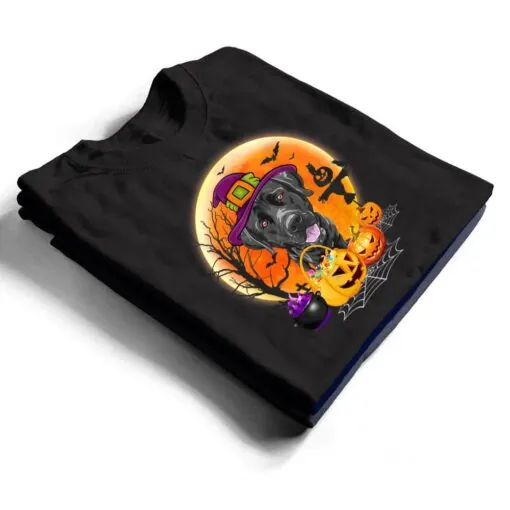 Halloween Great Dane Dog Moon With Pumpkin Funny Gifts T Shirt