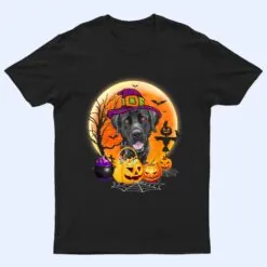 Halloween Great Dane Dog Moon With Pumpkin Funny Gifts T Shirt