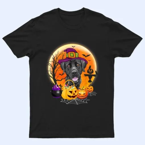 Halloween Great Dane Dog Moon With Pumpkin Funny Gifts T Shirt