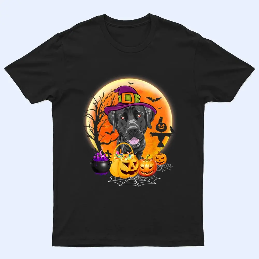 Halloween Great Dane Dog Moon With Pumpkin Funny Gifts T Shirt