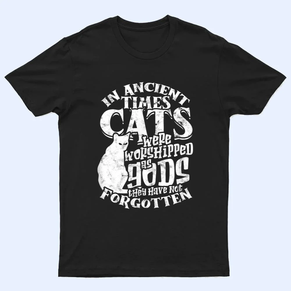 In ancient times Cats were worshipped as gods they have not T Shirt In ancient times Cats were worshipped as gods they have not T Shirt