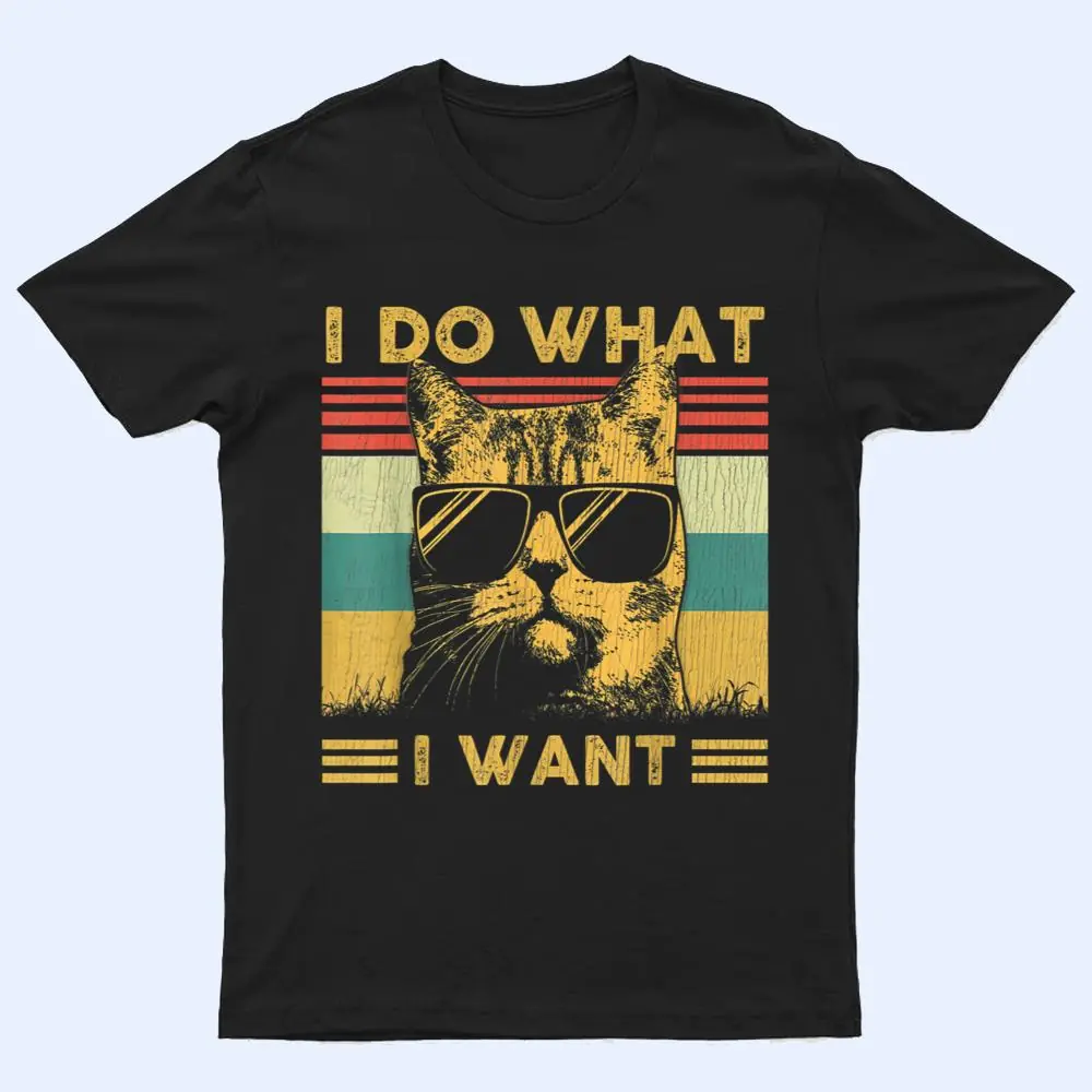 Retro 70s 80s 90s I do what I want cat funny cat lover T Shirt Retro 70s 80s 90s I do what I want cat funny cat lover T Shirt