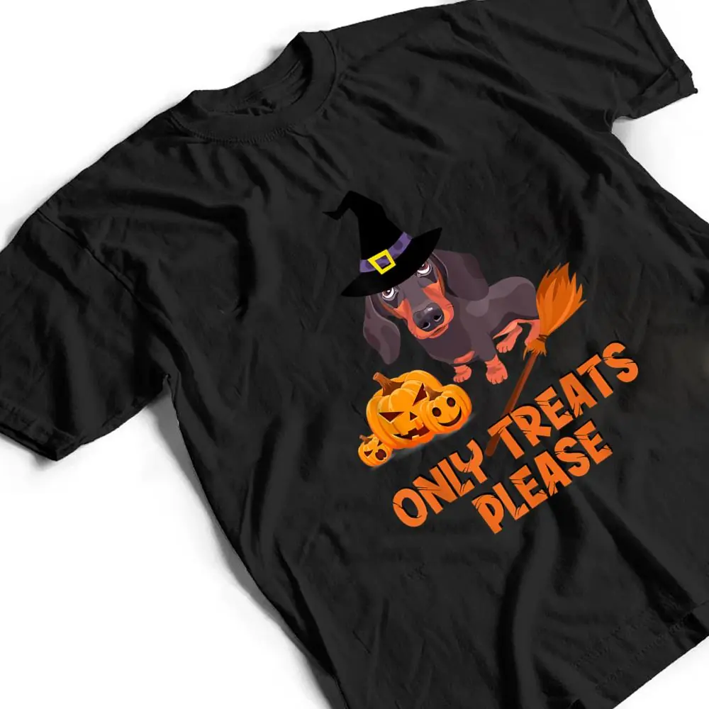 The Dachshunds With A Wizard Hat Pumpkin Halloween Party T Shirt