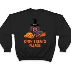 The Dachshunds With A Wizard Hat Pumpkin Halloween Party T Shirt
