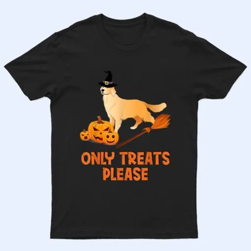 The Golden Retriever With A Wizard Hat Pumpkin Halloween T Shirt