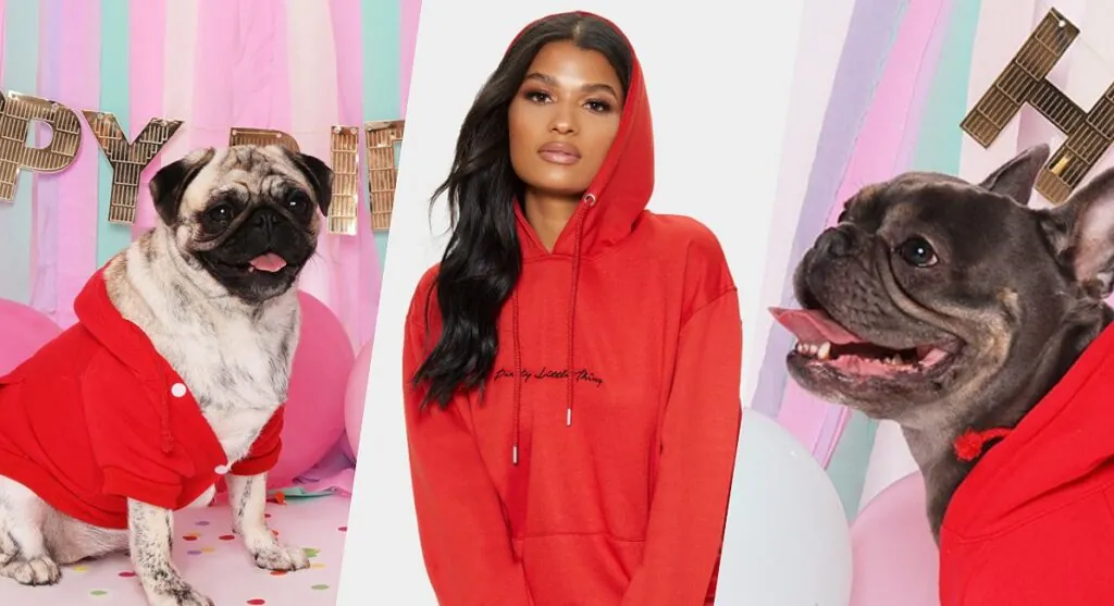 Why Every Animal Lover Needs a Dog and Pet Hoodie? Why Every Animal Lover Needs a Dog and Pet Hoodie?