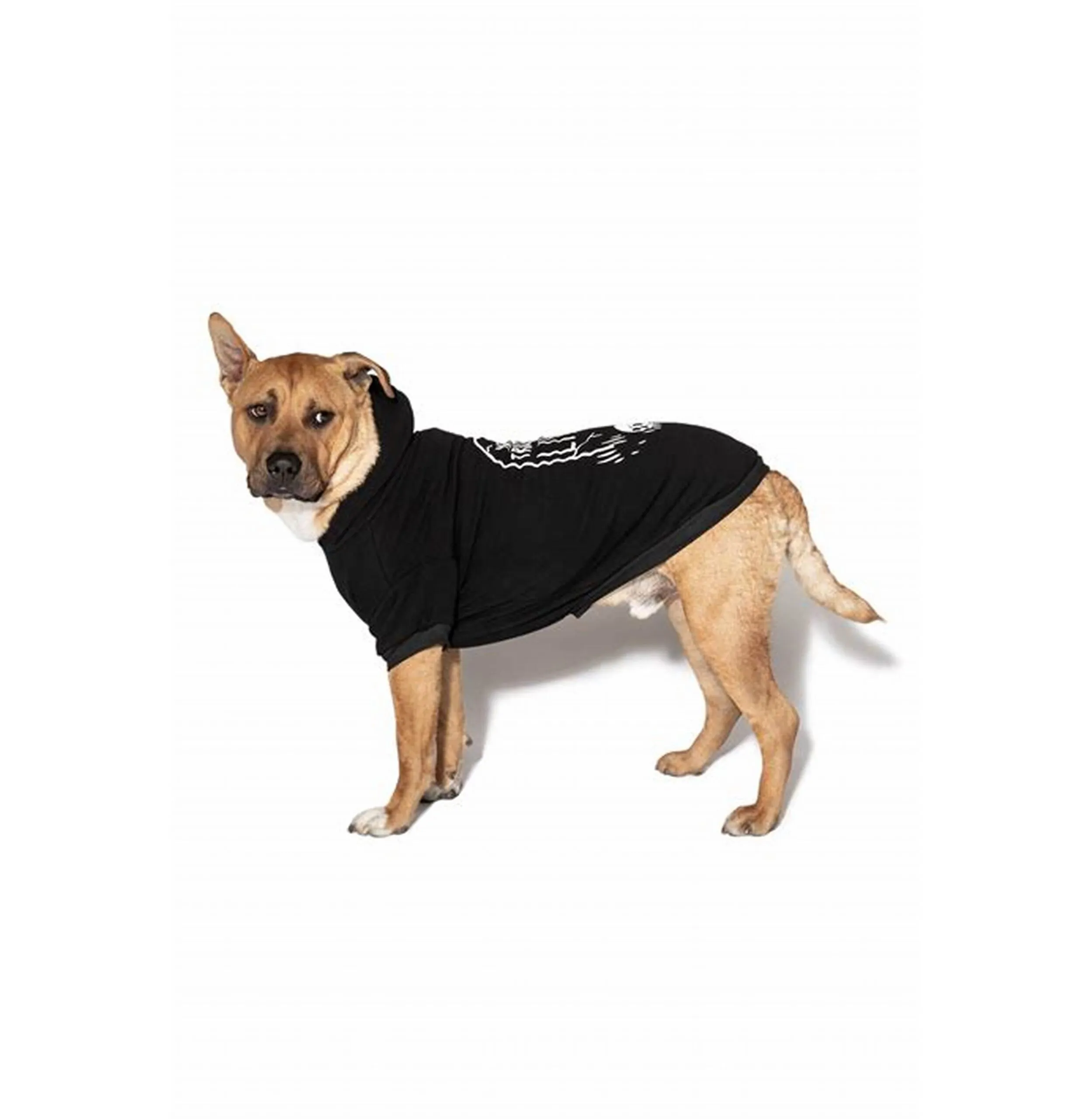The Ultimate Guide to Dog and Pet Hoodies: Cuteness Meets Comfort