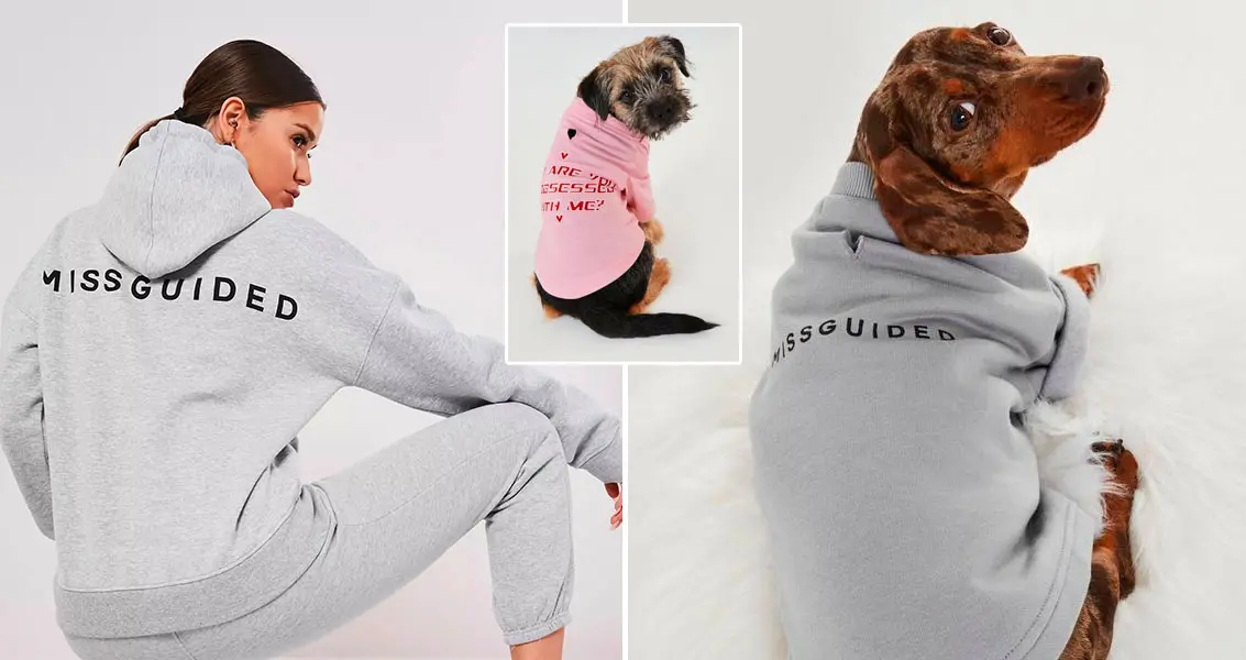 Snuggle Up in Style: The Ultimate Guide to Dog Style Hoodies Snuggle Up in Style: The Ultimate Guide to Dog Style Hoodies