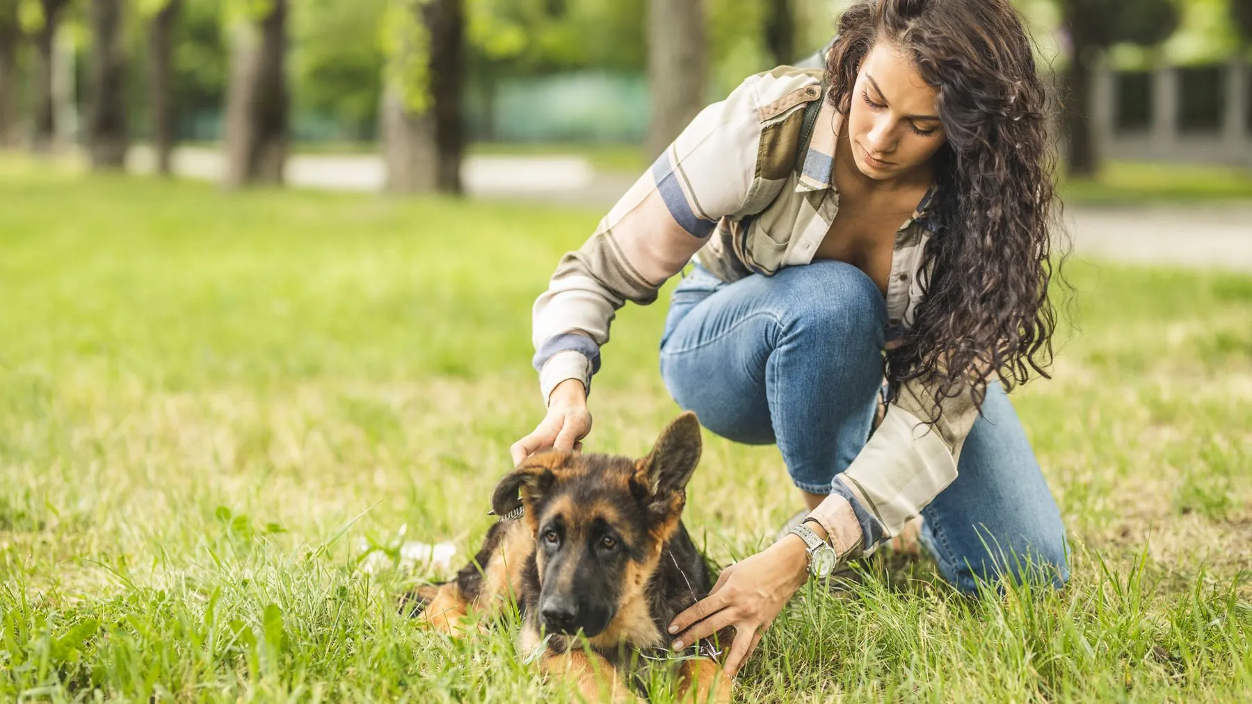 How to Ease Your Pet's Separation Anxiety?
