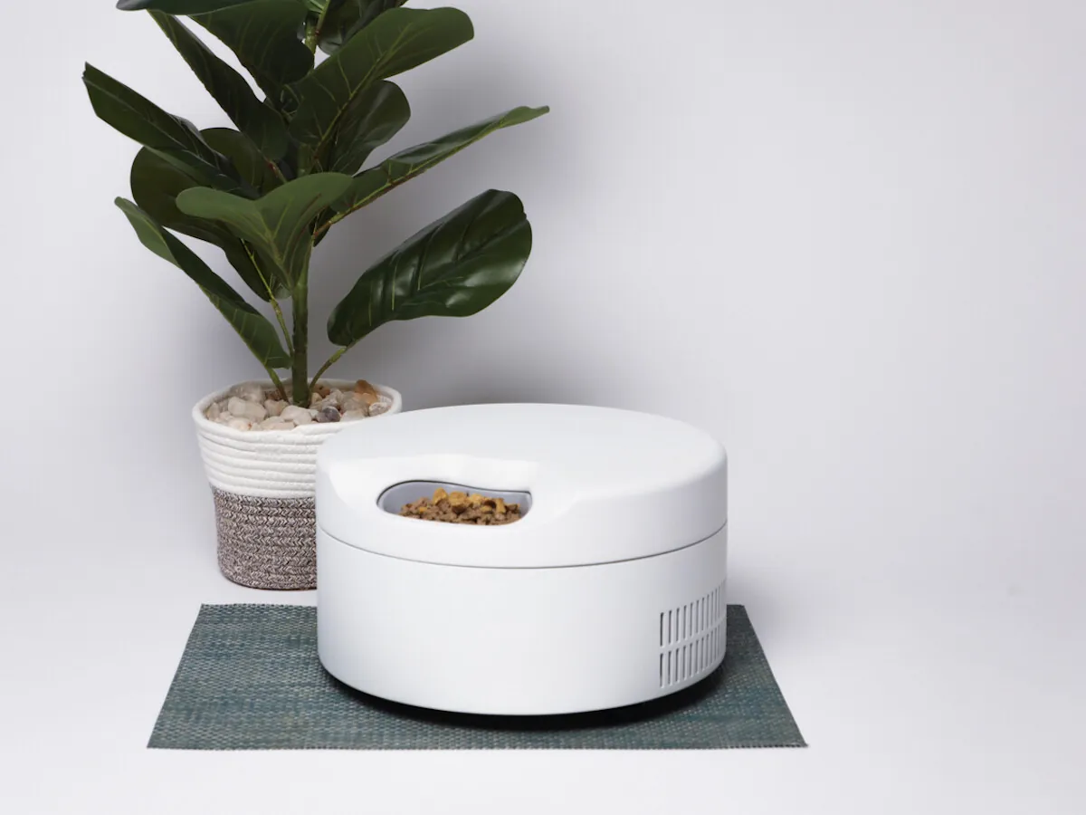 How to Ease Your Pet's Separation Anxiety?