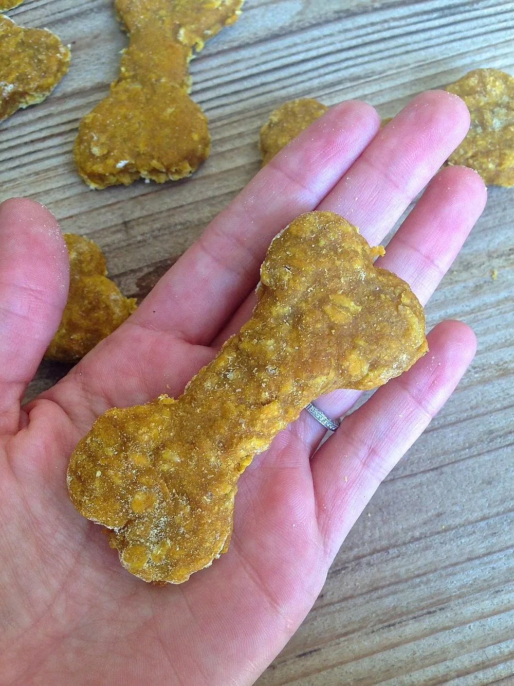 5 Delicious Homemade Dog Treat Recipes 5 Delicious Homemade Dog Treat Recipes