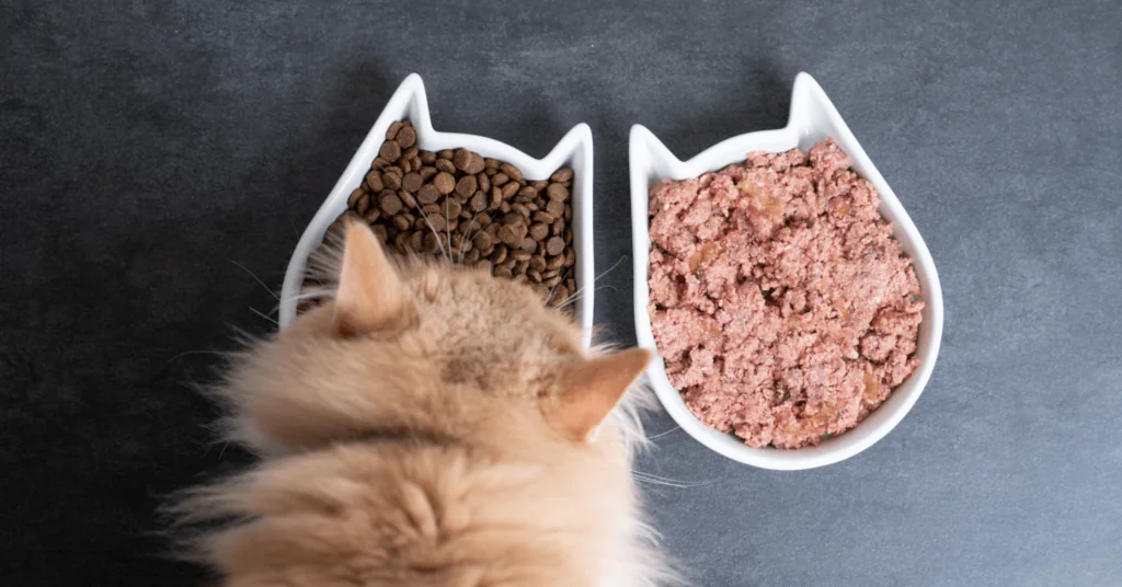 Is Dry or Wet Food Better for Cats?  Is Dry or Wet Food Better for Cats?