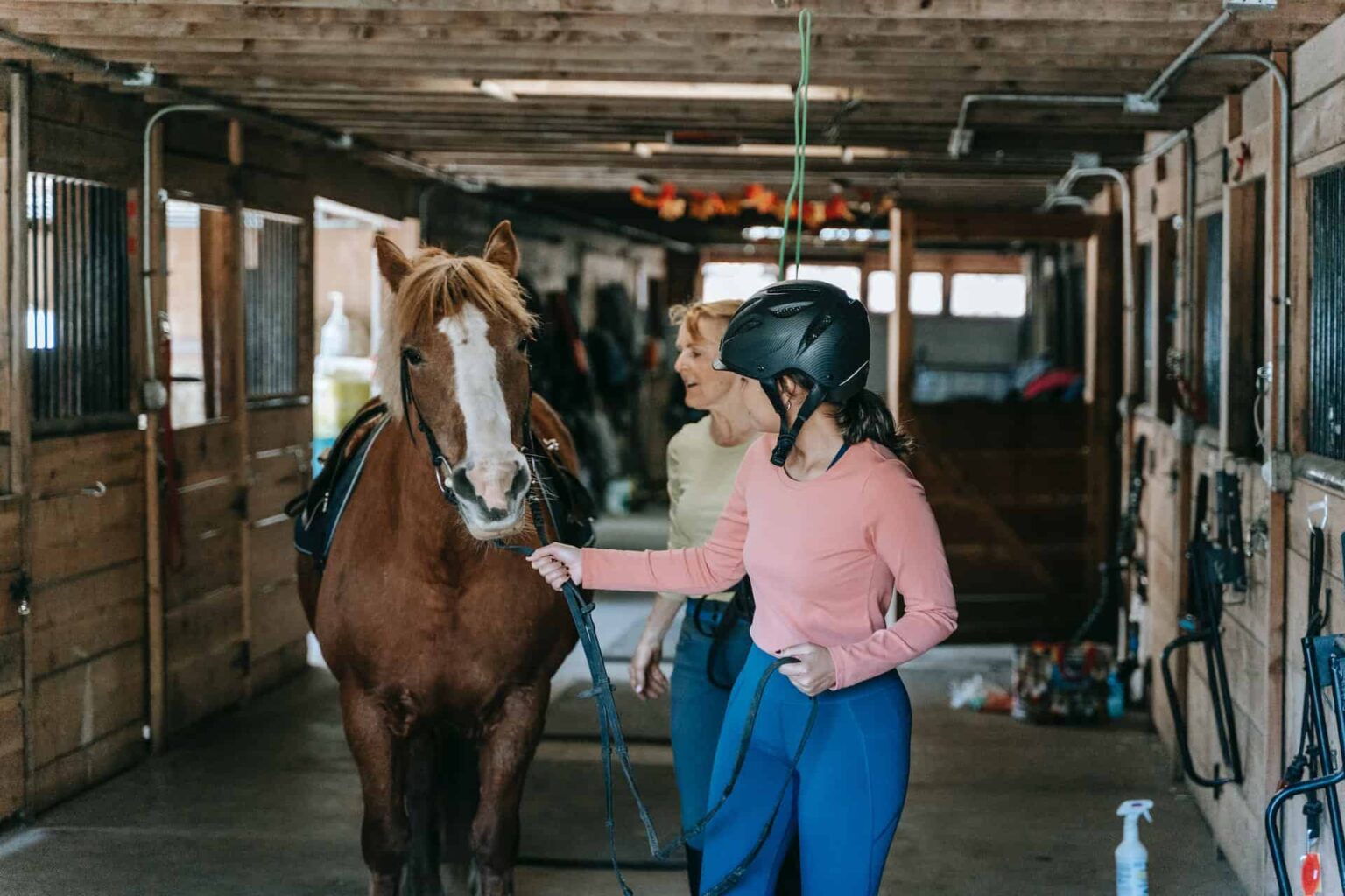 10 Horse Riding Tips for First-Time Riders